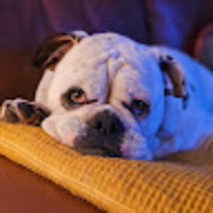 Meet your Posher, Cortney